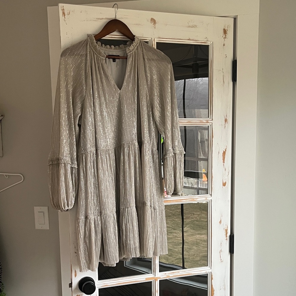 1. State Silver Metallic Dress